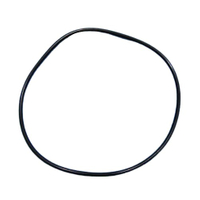 Perfluorinated rubber oil seal