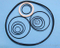 Perfluorinated rubber oil seal
