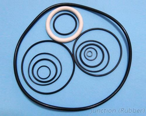 Perfluorinated rubber oil seal