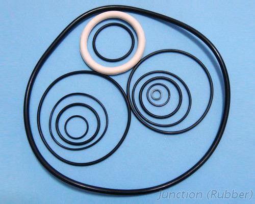 Perfluorinated rubber oil seal